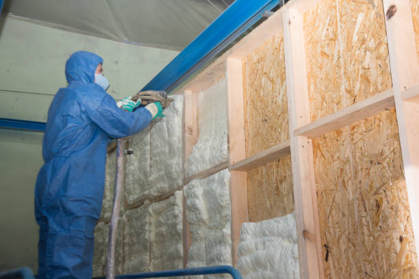 Best Spray Foam Insulation  in Mathis, TX