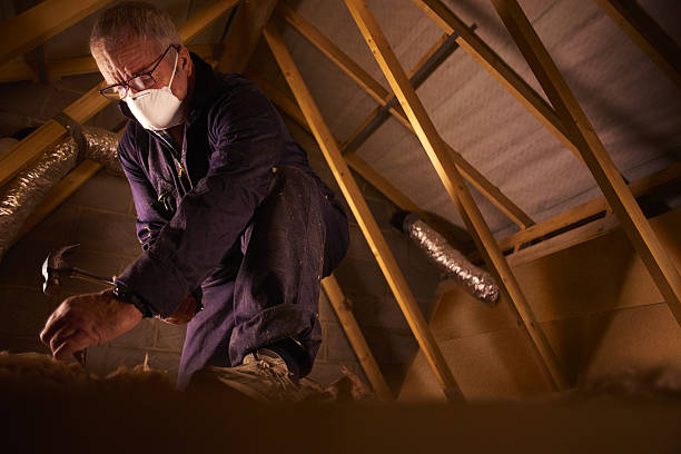 Best Insulation Repair Services  in Mathis, TX