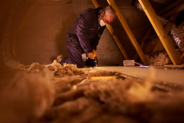 Best Residential Insulation Services  in Mathis, TX